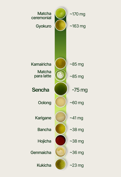 6ad63d9aa431a_caffeine_chart_sencha_es.webp