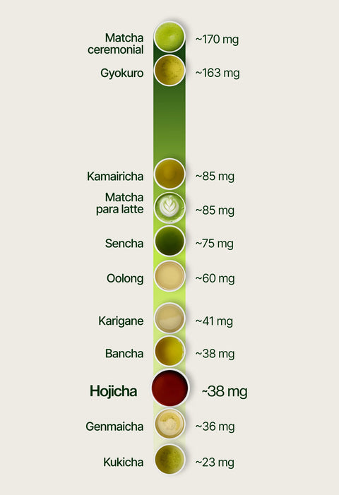 6ad63d9b1c6ec_caffeine_chart_hojicha_es.webp