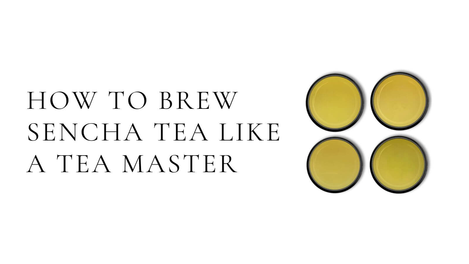 Cargar video: How to brew sencha tea like a tea master
