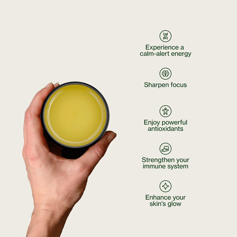 Té verde Chanoka Kukicha