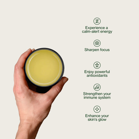 Sencha de la montaña Chanoka