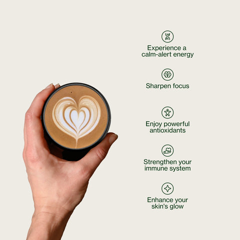 Polvo de hojicha