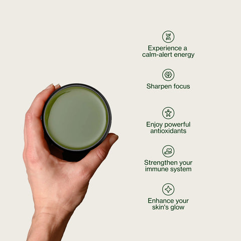 Sencha Shizuku con Polvo de matcha