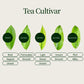 Kamairicha Té Verde Issin