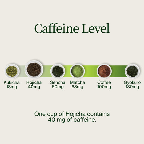Polvo de hojicha