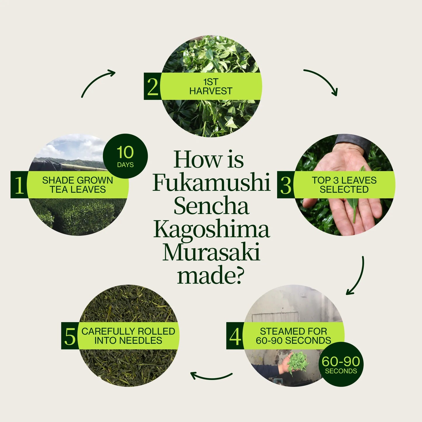 Fukamushi Sencha Kagoshima Murasaki