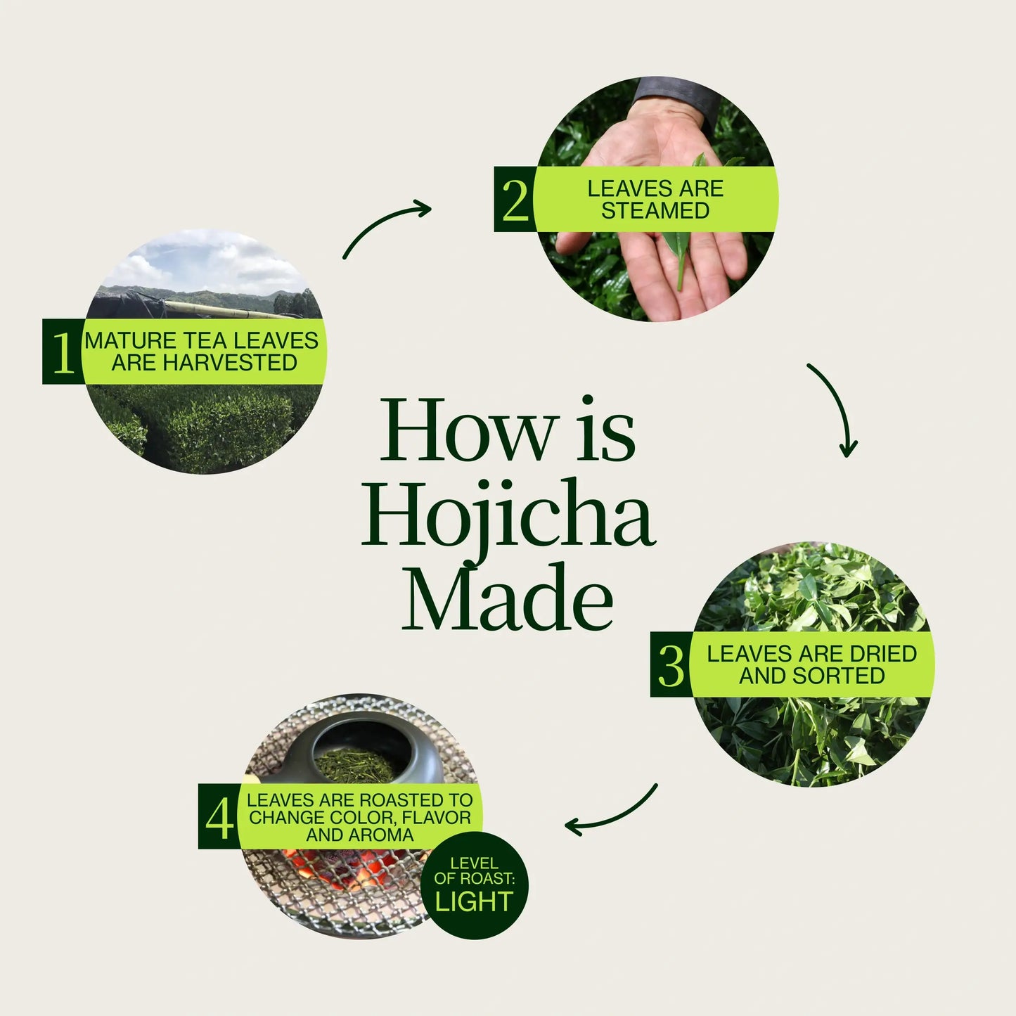 Hojicha Powder