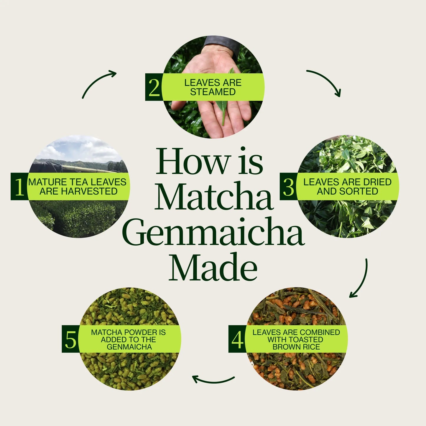 Matcha Genmaicha Shizuoka