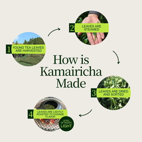 Chanoka Kamairicha Té verde a granel