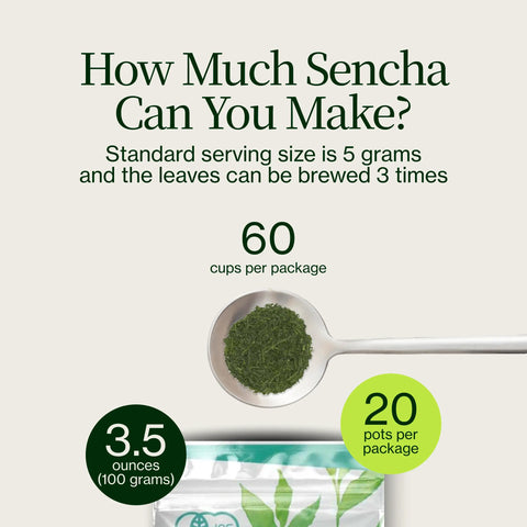 Sencha Shizuku con Polvo de matcha