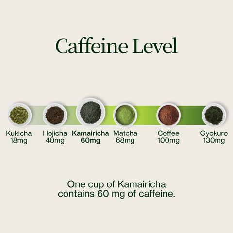Chanoka Kamairicha Té verde a granel