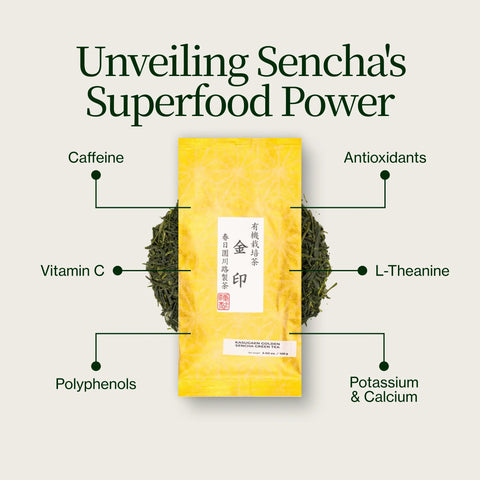 Sencha Dorada Yabukita Kasugaen