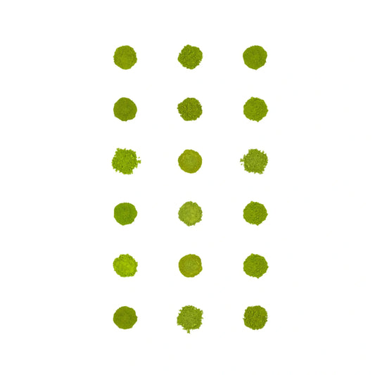 Paquete de 18 muestras de matcha
