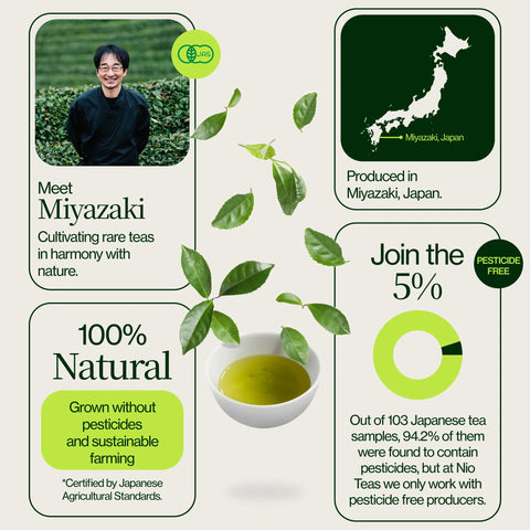 Té Oolong de Alta Montaña Miyazaki