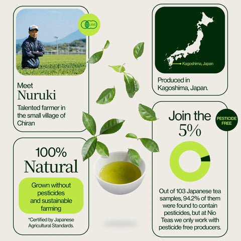 Té verde Matcha Chiran Matcha premium