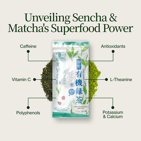 Sencha Shizuku con Polvo de matcha