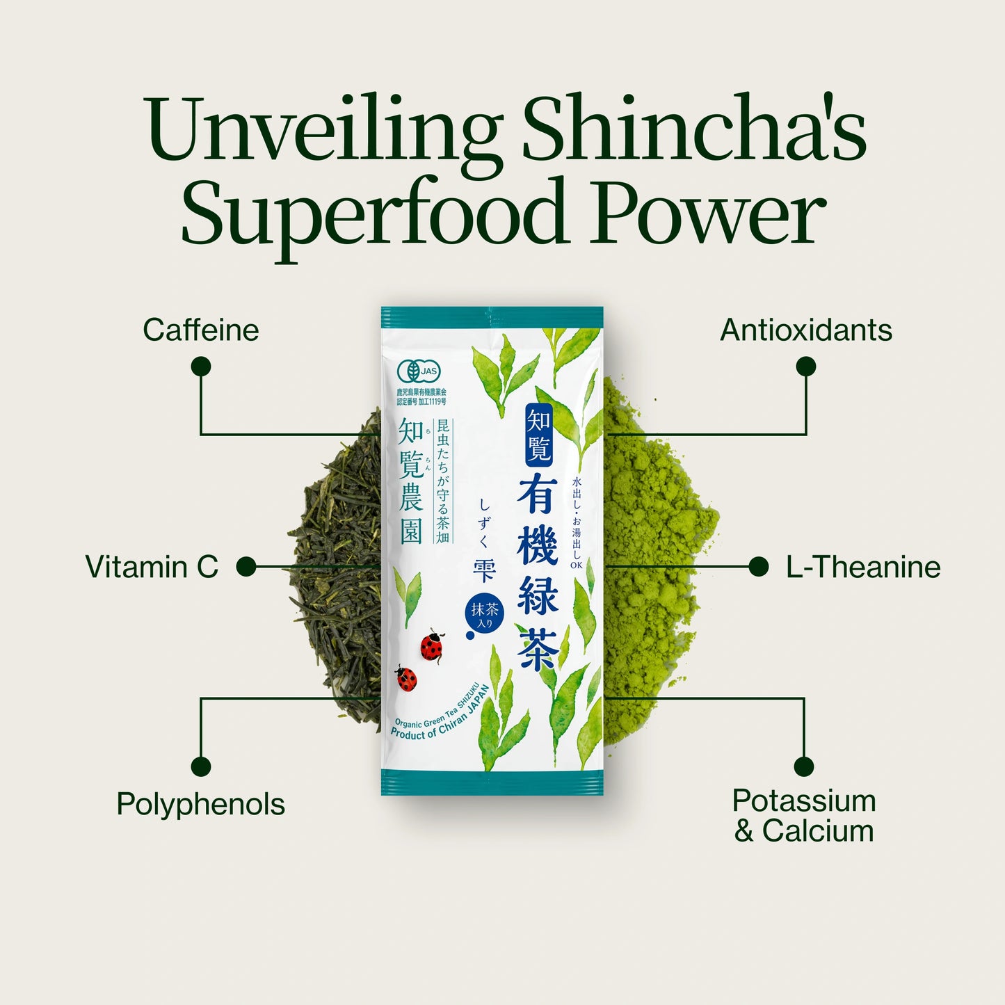 Shincha Shizuku Chiran 2026 con Polvo de matcha