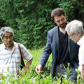agricultores de té