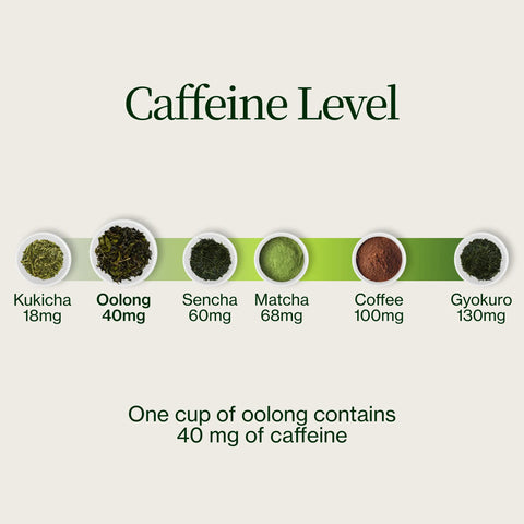 Té Oolong de Alta Montaña Miyazaki