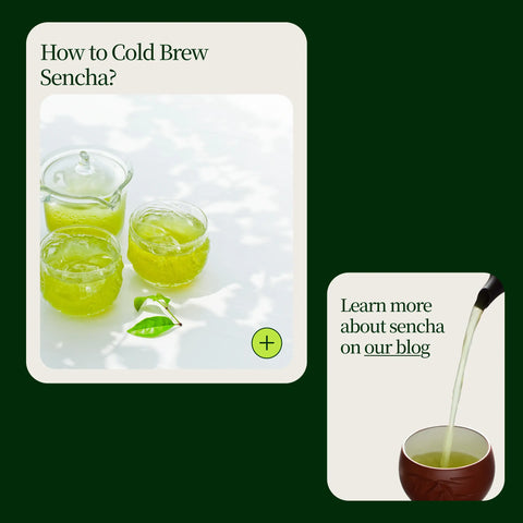 Uji Sencha Chanoka