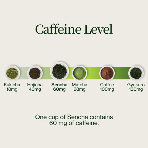 Uji Sencha Chanoka