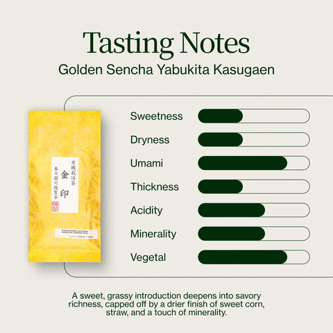Sencha Dorada Yabukita Kasugaen