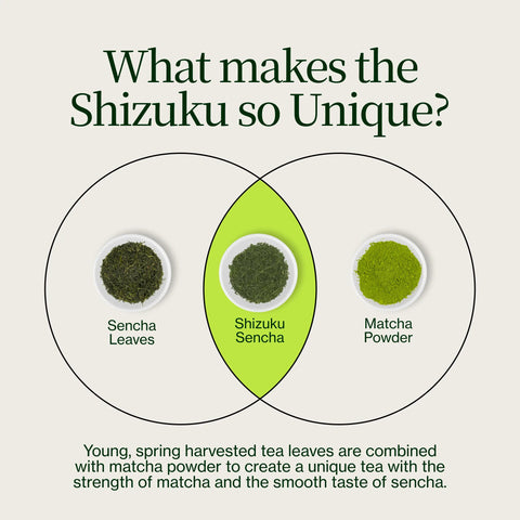 Sencha Shizuku con Polvo de matcha