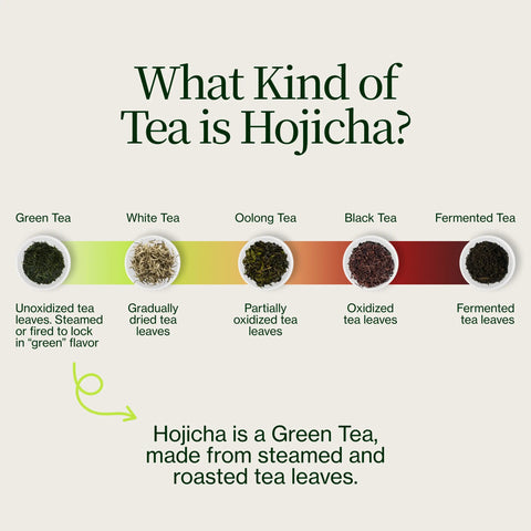 Polvo de hojicha