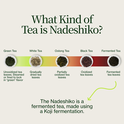 Té fermentado japonés Nadeshiko Rose