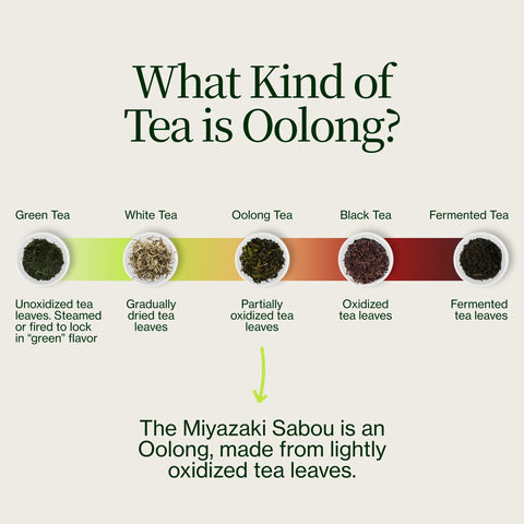 Té Oolong de Alta Montaña Miyazaki