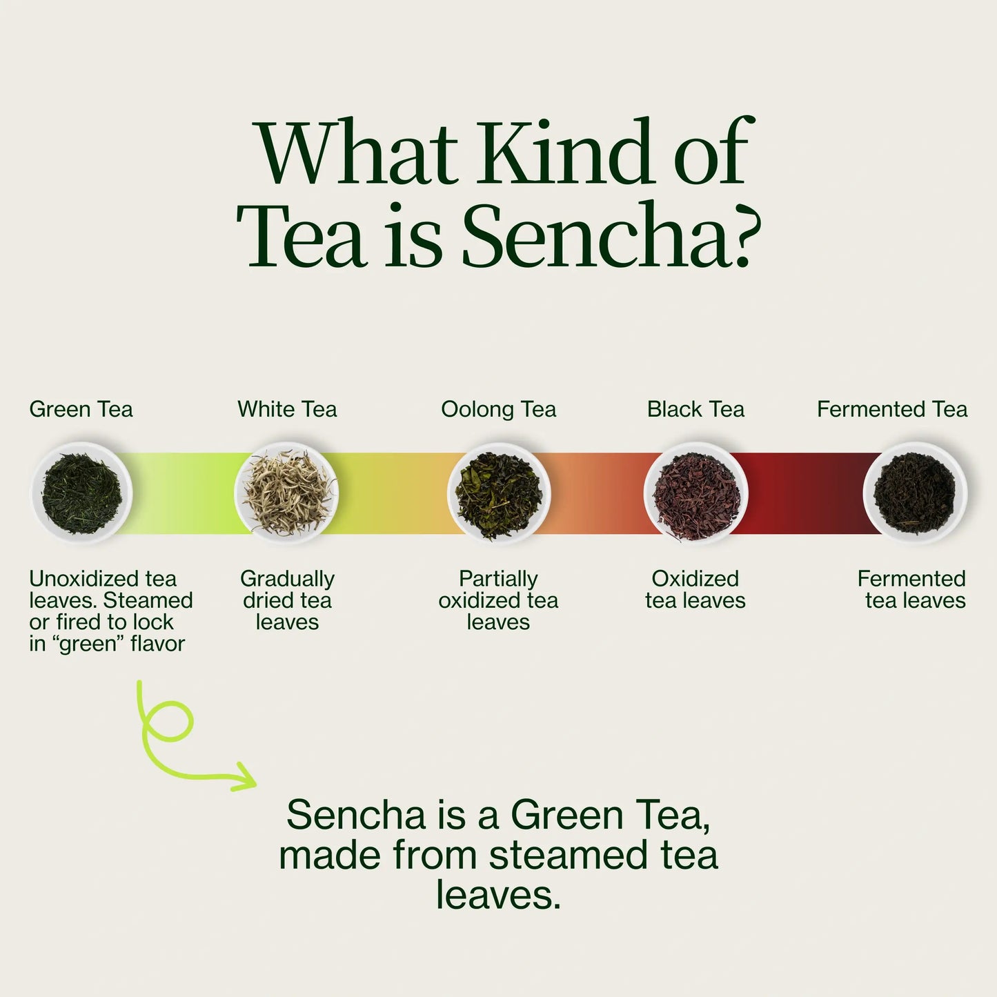 Sencha Superior Zenkouen